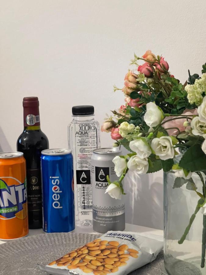 Apartament De Lux Semicentral ヤシ エクステリア 写真